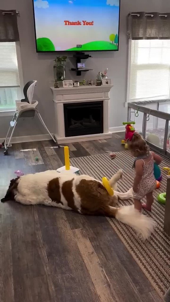 ������ ������ � ���� �������!! - 2
