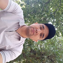 ������, �������, 39 ���