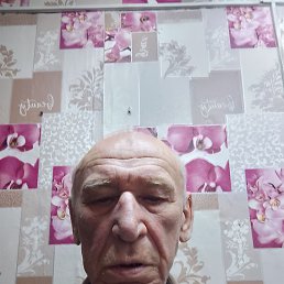 Wovk, ������, 65 ���