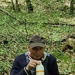 ���� �����, �����������, 40 ��� - ��������� 4 ������� 2026