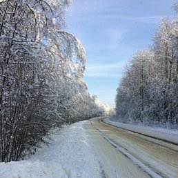 ���� �������, ������, 36 ���