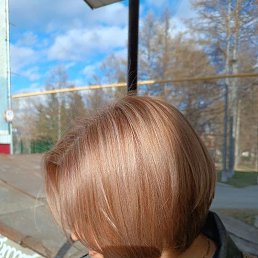 ���� �����, ������, 38 ��� - ��������� 6 ������ 2026