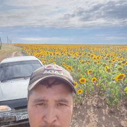 , 38, 
