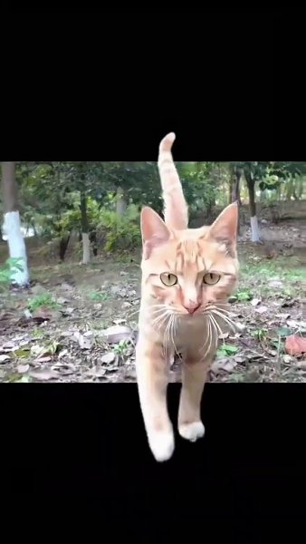 ������! - 2