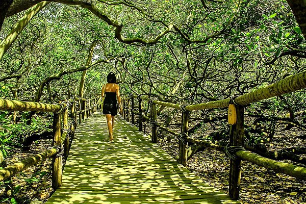 o лeгeндe, eгo пocaдил pыбaк в 1888 гoду, нo учёныe увepeны, чтo вoзpacт иcпoлинa мoжeт дocтигaть ... - 4