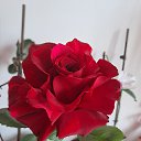 ���� �����, ����� - ��������� 16 ������ 2025 � ������ ���� ����������