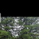 ���� �����, �������, 49 ��� - ��������� 6 ���� 2025 � ������ ���� ����������