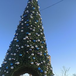 ���� �������, ������, 65 ��� - ��������� 15 ������ 2024