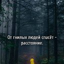 ���� ��������, ������� - ��������� 11 ������� 2024 � ������ ���� ����������