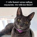 ���� ������, ���� - ��������� 25 ������ 2025 � ������ ���� ����������
