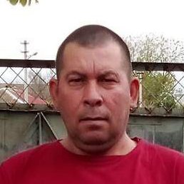 ����, ����, 50 ���