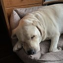 ���� �����, ���� - ��������� 15 ������� 2024 � ������ ������