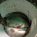 ���� ��������, ������, 63 ���� - ��������� 12 ������� 2024 � ������ ���� ����������