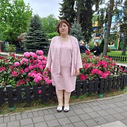 �������, ������, 67 ���