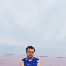 , 54, 