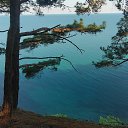 ���� ������, ���������, 51 ��� - ��������� 19 ���� 2025 � ������ ���� ����������