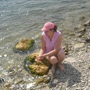 ���� �������, �������, 48 ��� - ��������� 12 ������� 2026