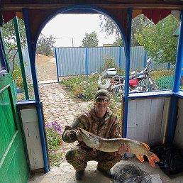 �������, �������, 54 ����