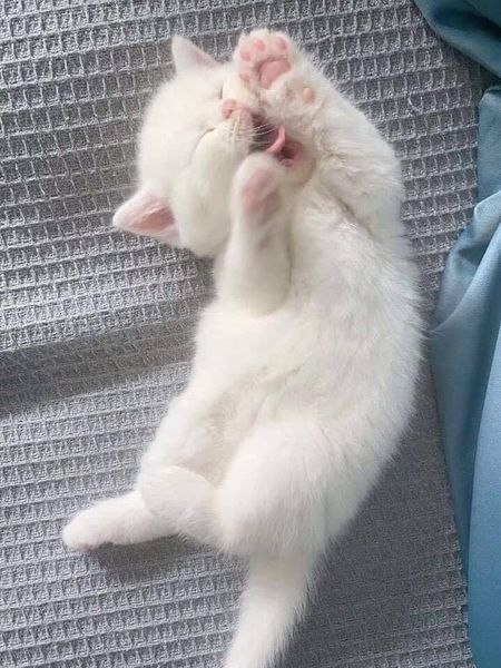  !
