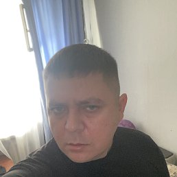 , 44, 