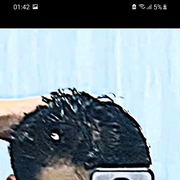 ���� Shoh, �����, 22 ���� - ��������� 20 ������ 2024