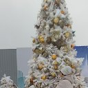 ���� �������, �������, 67 ��� - ��������� 13 ������ 2026 � ������ ���� ����������