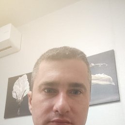 ���� ������, ����, 29 ��� - ��������� 24 ������ 2026