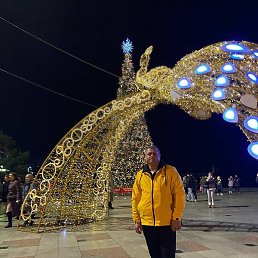 ������, ������������, 46 ���