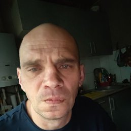 �����, 41 ���, ������