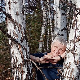 ���� �������, �����, 69 ��� - ��������� 29 ������� 2023