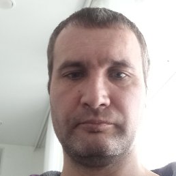 ������, ���������, 41 ���