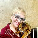 ���� ������*, ���������, 65 ��� - ��������� 15 ������ 2024 � ������ ���� ����������