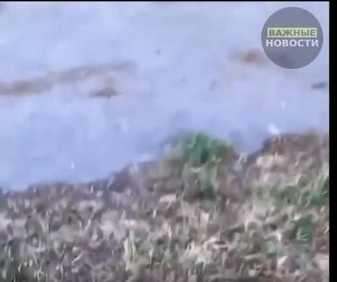 Если не запретим самокаты дети будут умирать В Омске трое несовершеннолетних катались на самокатах ... - 2