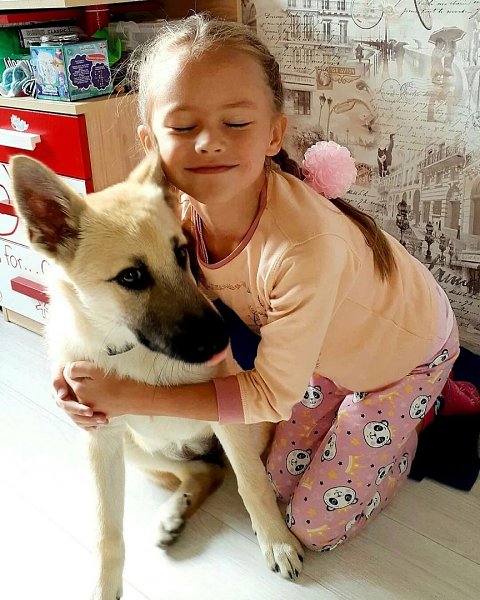 Добрый день :blush: А мы вот такое чудо взяли из приюта. Туда она попала с улицы, над несколькими ... - 5