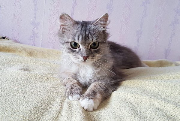 ������ �������.������� ������� �� ������� ����� �����, ���������� ����� ���� ��������� ��� ... - 8