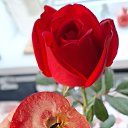 ���� Nataliia, ��������, 55 ��� - ��������� 3 ������� 2025 � ������ ���� ����������