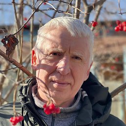 ������, ��������, 66 ���