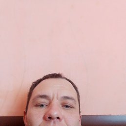 ��������, 37 ���, �����������