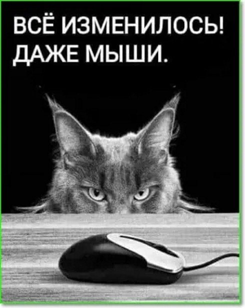 ☆������ �����☆ - 29 ������� 2025 � 20:20