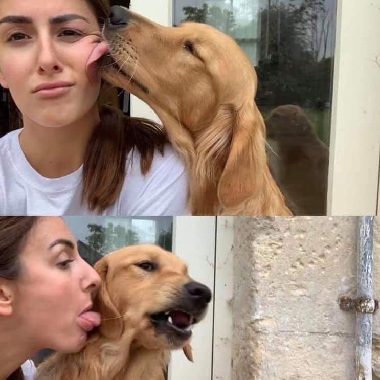 � �������� ������� ��������� �� ��������������!