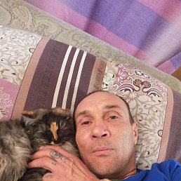 �������, 49 ���, �����