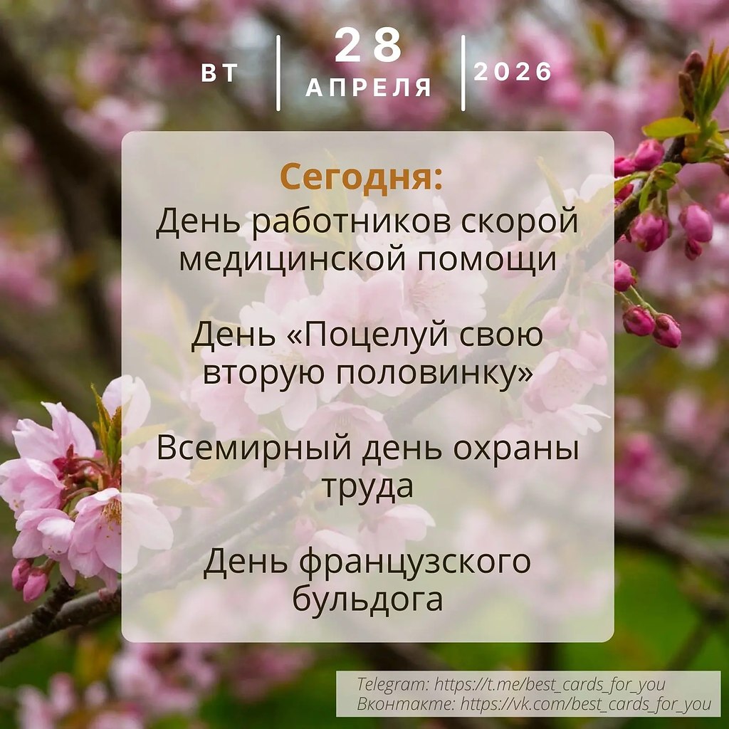 ����������� � ���������, �������� �� ������ ����. - 28 ������ 2026 � 01:08