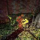 ���� �����, ������, 80 ��� - ��������� 14 ������� 2025 � ������ ���� ����������