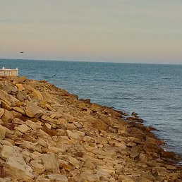 ���� ������, ������, 38 ��� - ��������� 1 ������ 2024