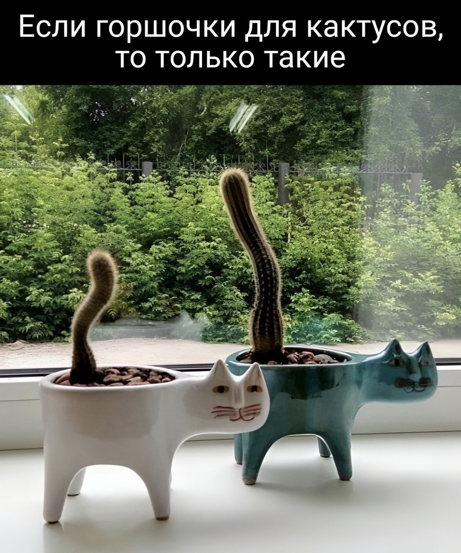  - 20  2024  20:50