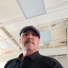 , 53, 