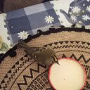 ���� ���������, �������� - ��������� 6 ������� 2026 � ������ ������ ��������