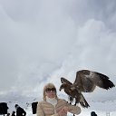 ���� Nata, �����-���������, 55 ��� - ��������� 2 ������ 2026