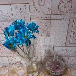 �����, ����-���, 42 ����