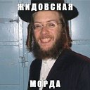 ���� ���, ������-��-����, 43 ���� - ��������� 3 ������ 2024 � ������ ���� ����������